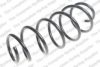 LESJ?FORS 4066817 Coil Spring